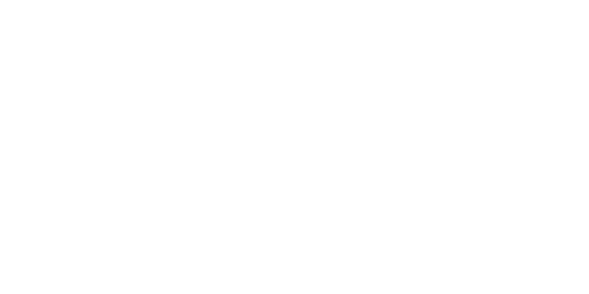 MSN Leathers